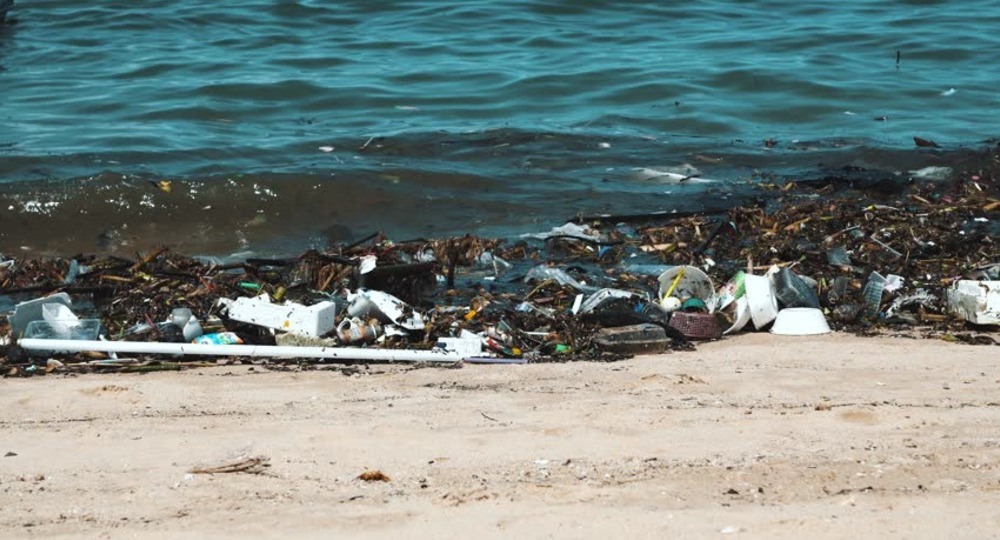 Черное море превращается в «мутную кашу» Черное море превращается в «мутную кашу»