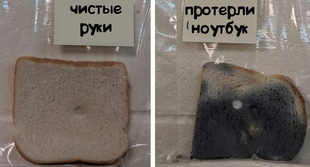 Мойте руки перед едой!