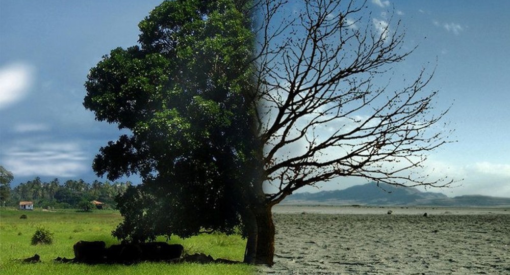В школах Италии впервые в мире вводятся уроки по климату 