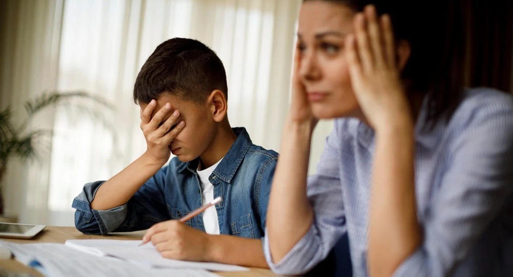 Сюр дистанционного обучения Сюр дистанционного обучения