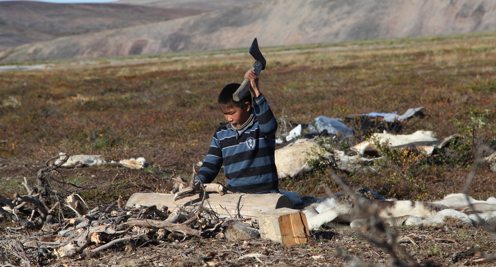На Чукотке почти половина выпускников отказалась от ЕГЭ На Чукотке почти половина выпускников отказалась от ЕГЭ
