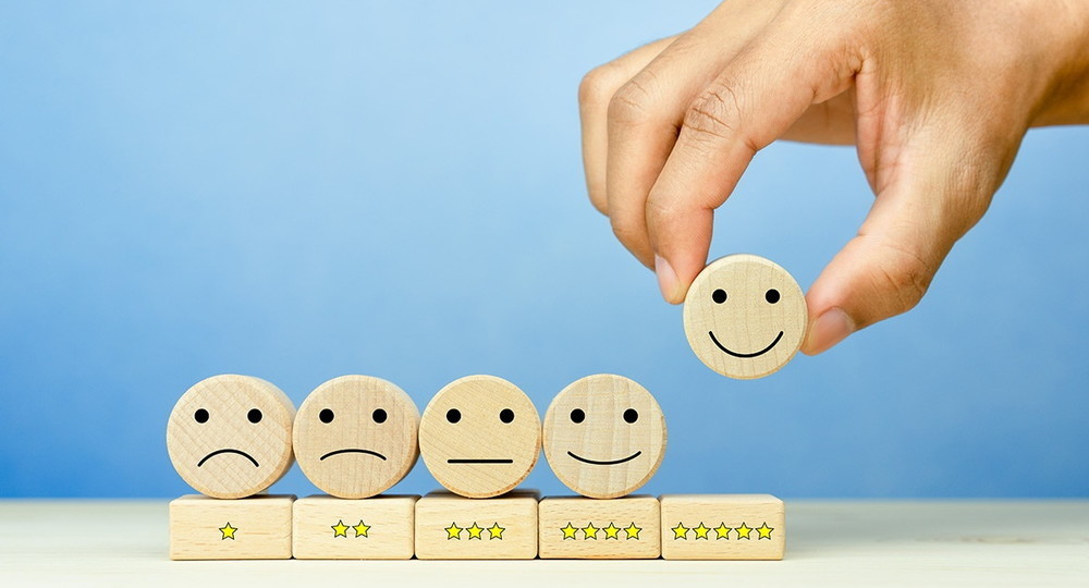 Большинство выпускников школ планируют поступать в вуз Большинство выпускников школ планируют поступать в вуз