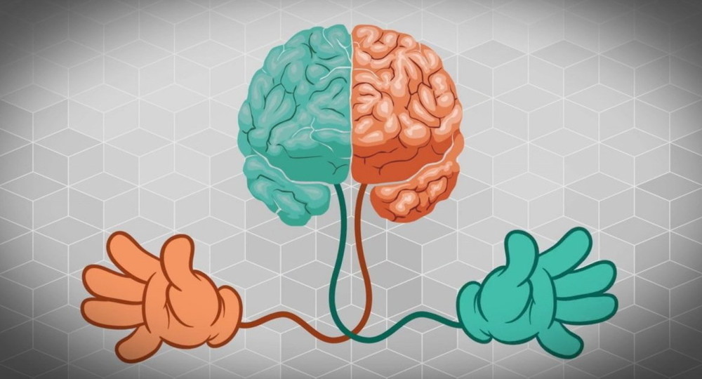 Маленькие дети используют оба полушария для понимания речи Маленькие дети используют оба полушария для понимания речи