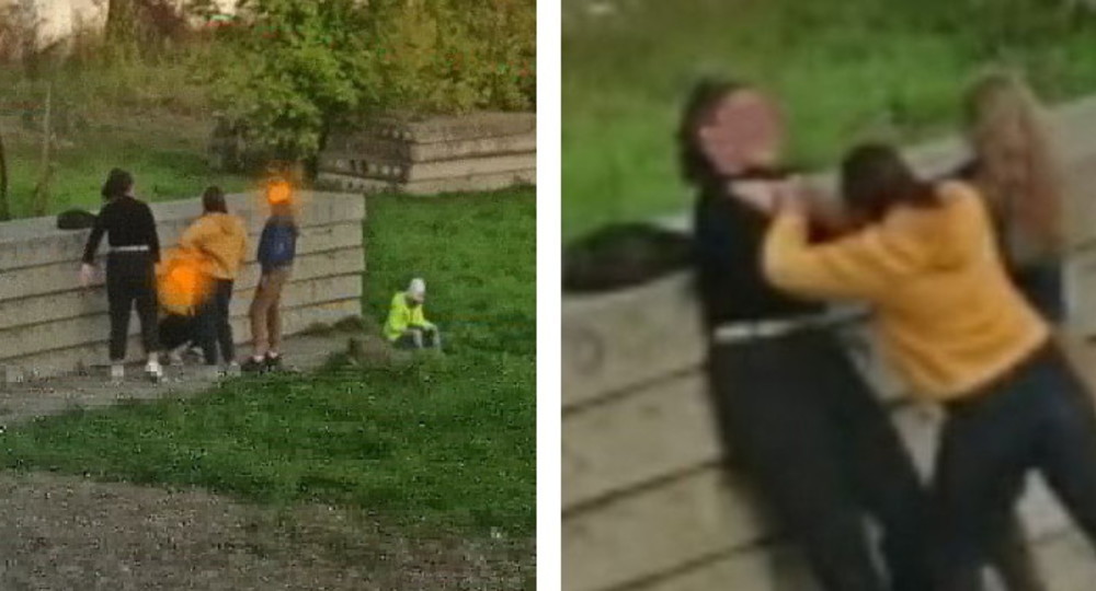 «Собачий кайф»: странные забавы школьниц Приморья «Собачий кайф»: странные забавы школьниц Приморья