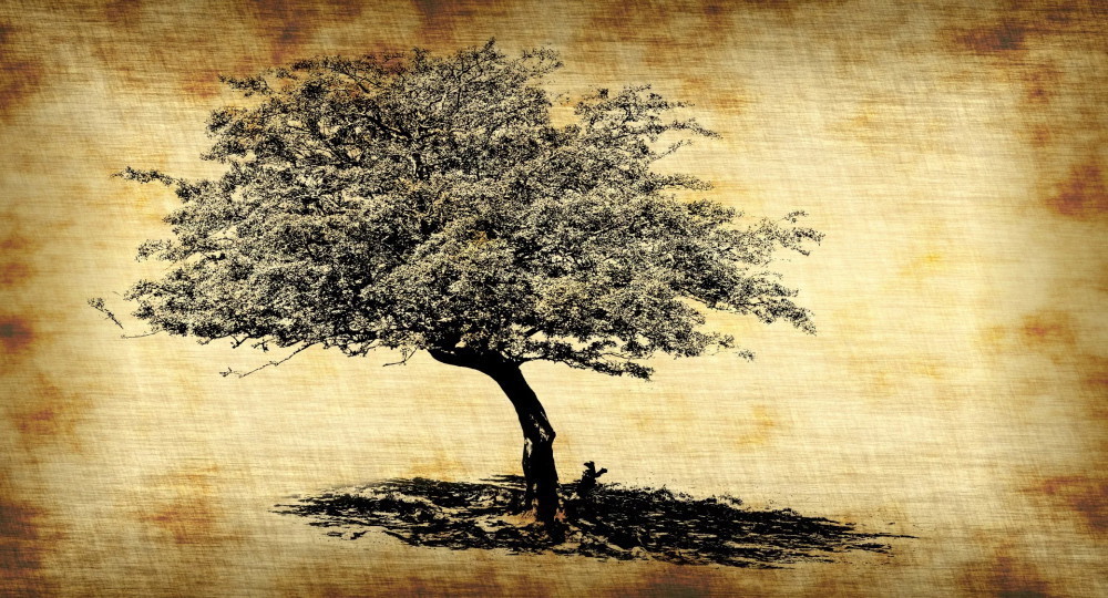 Дмитрий Лихачёв: обязательно посади дерево – даже если завтра конец света