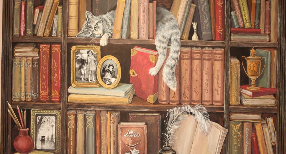 Пора бы слезть со шкафа Пора бы слезть со шкафа