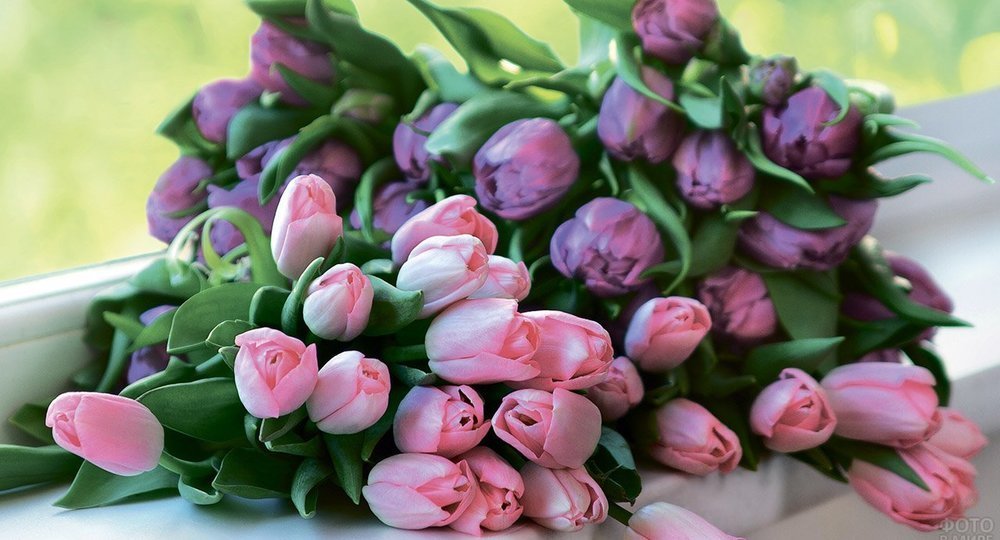 Послание к 8 марта