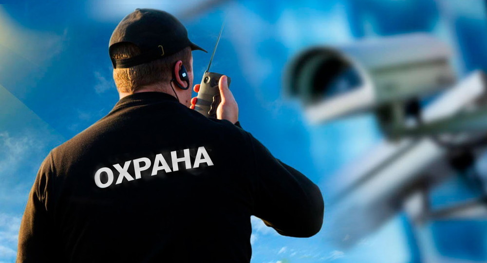 Охрана российских образовательных организаций: трагедия нормативных коллизий Охрана российских образовательных организаций: трагедия нормативных коллизий