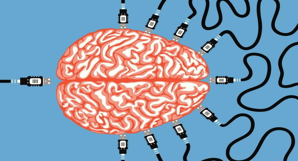Минобрнауки опровергло разработку федеральной программы по чипированию мозга