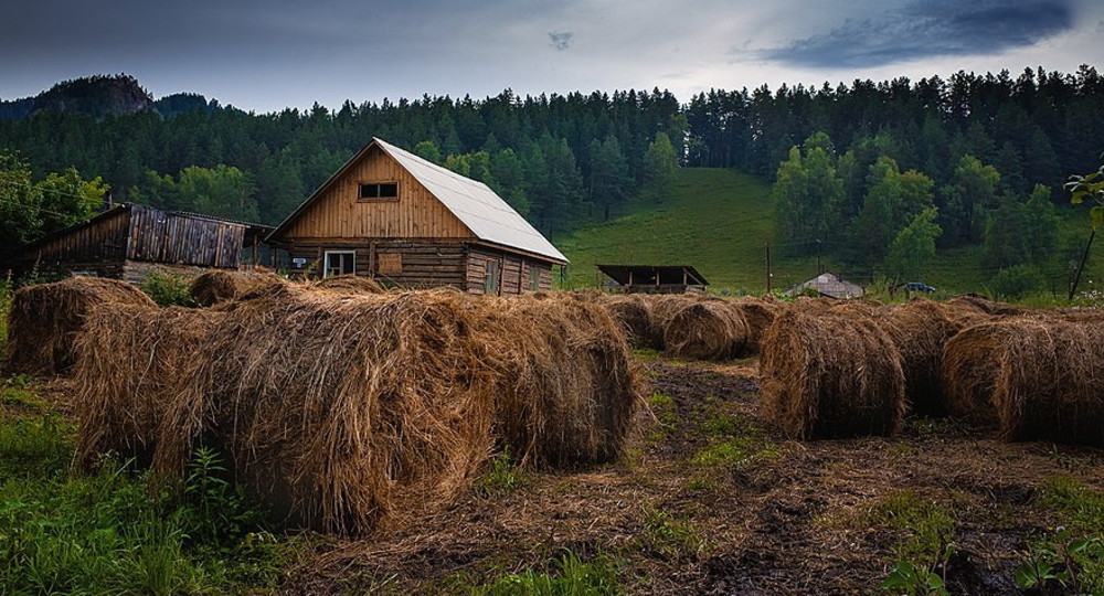 Выпускников школ Австралии призвали поработать в сельской местности Выпускников школ Австралии призвали поработать в сельской местности
