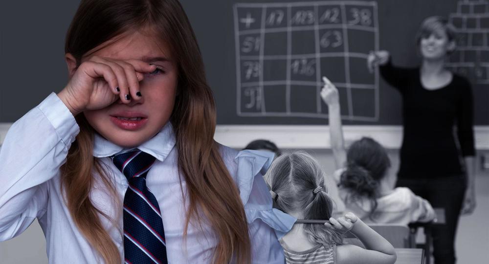 В России на законодательном уровне прорабатывается вопрос о буллинге в школе