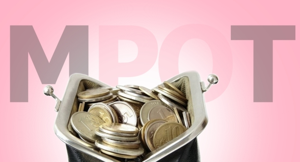 Власти России запланировали повысить МРОТ Власти России запланировали повысить МРОТ