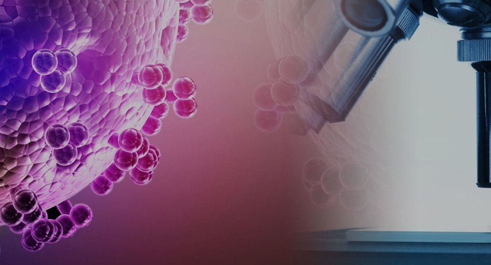 Чем опасен бессимптомный стелс-омикрон Чем опасен бессимптомный стелс-омикрон