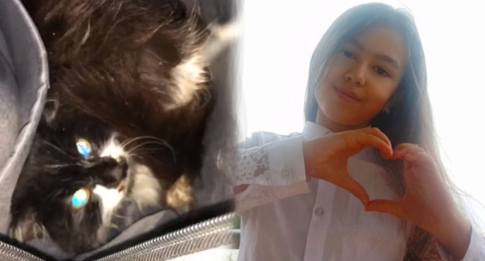 Школьница из Бурятии спустилась в яму уличного туалета, чтобы спасти бездомную кошку