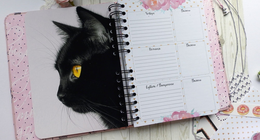 Курганским ученикам запретили покупать дневники с котятами Курганским ученикам запретили покупать дневники с котятами