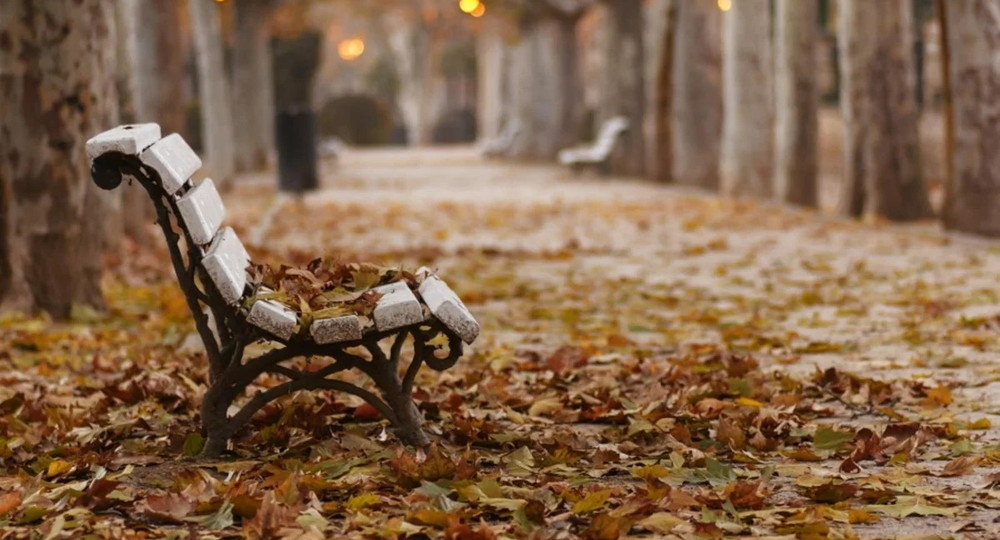 Что мы любим в сентябре Что мы любим в сентябре