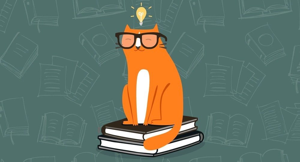 Подготовкой учителей финансовой грамотности займется Министерство финансов Подготовкой учителей финансовой грамотности займется Министерство финансов