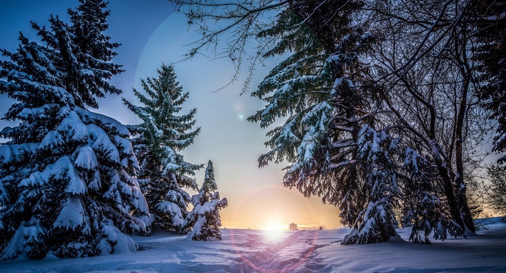 Времена выбирают! Времена выбирают!