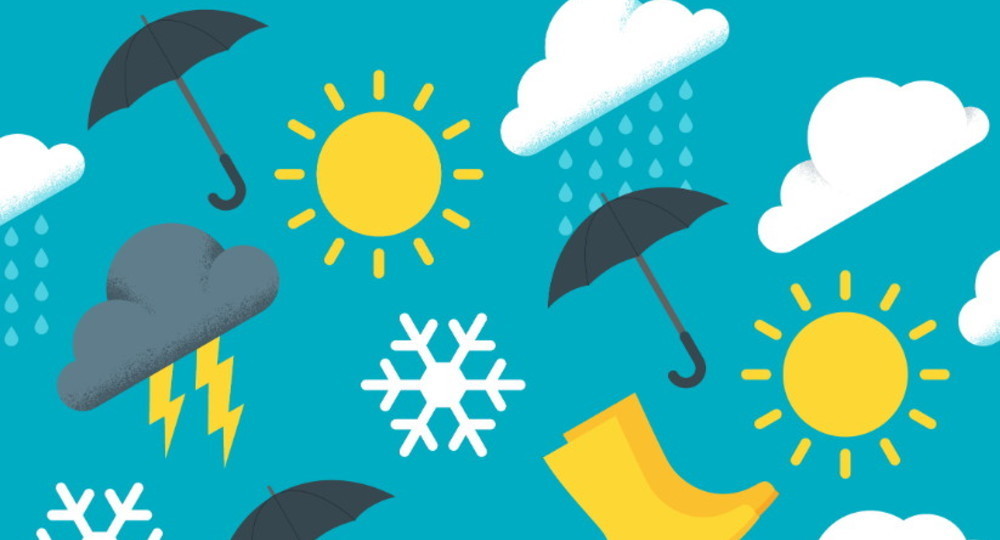 Школьники Подмосковья научатся прогнозировать погоду