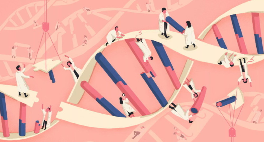 Результаты проекта «EasyGenetics – о генетике простым языком»