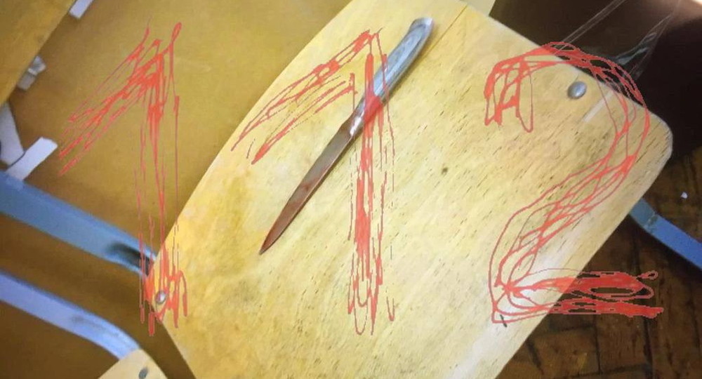 «Вернулась в класс, держа окровавленный нож»