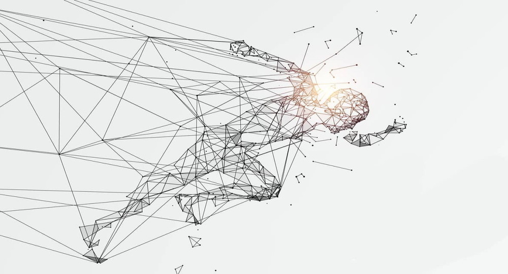 Сетевая трансформация образования Сетевая трансформация образования