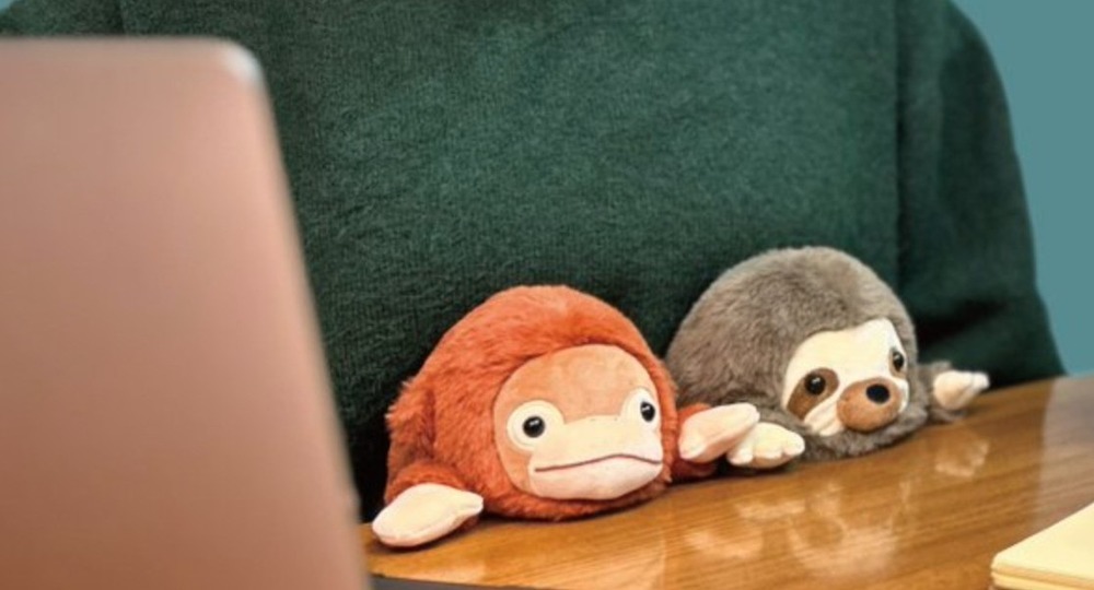 Ленивцы, зайчики и обезьянки помогут держать осанку Ленивцы, зайчики и обезьянки помогут держать осанку