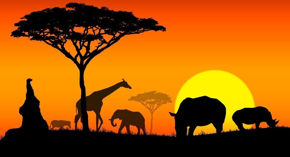 В российских школах началось обучение африканским языкам В российских школах началось обучение африканским языкам