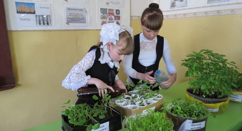 Должны ли дети трудиться в школах? Должны ли дети трудиться в школах?