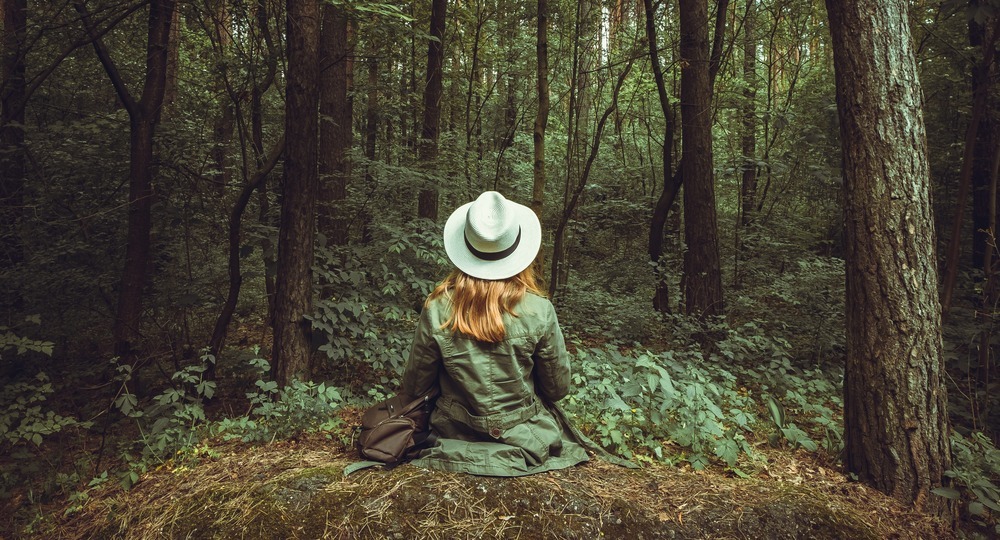 Синрин‑йоку: гуляют все! Синрин‑йоку: гуляют все!