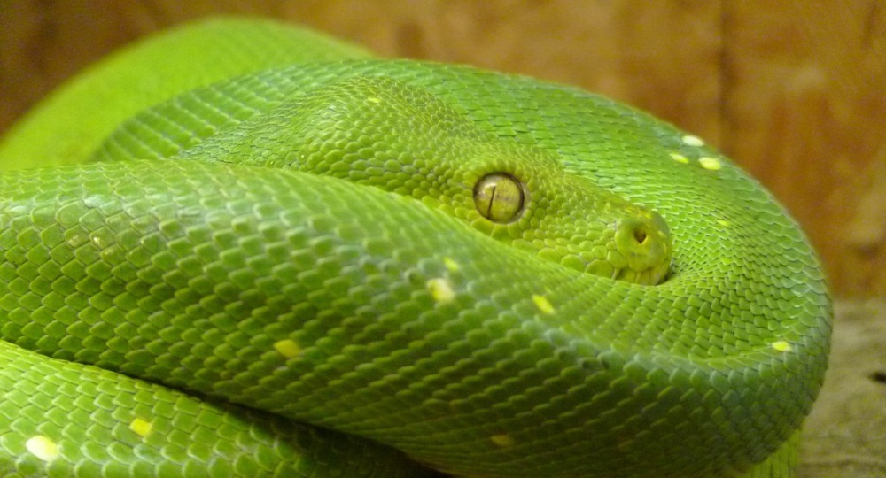 Рожденный ползать летать может! Рожденный ползать летать может!