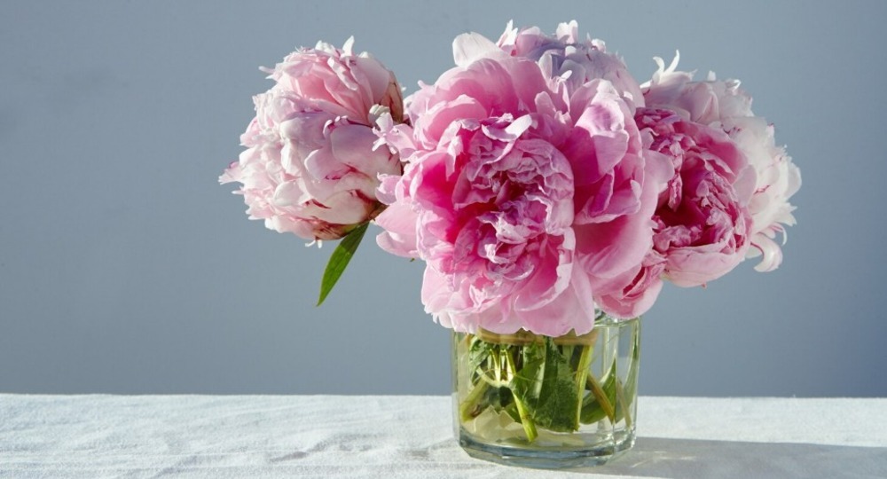 Анна Белова: «Ваша поддержка всегда вселяет в меня уверенность»