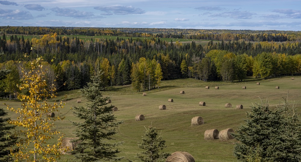 В Ясной Поляне очень любят детей