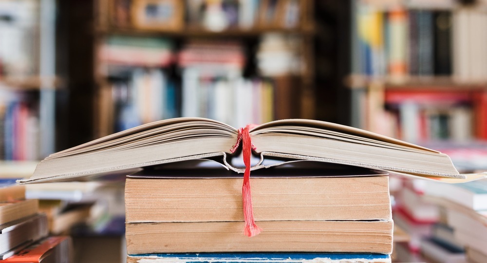 «Урок литературы – не факты, аргументы, а открытия!»