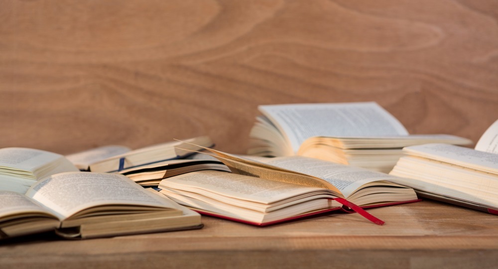 Минимальный проходной балл для поступления в вуз по литературе остался 40 баллов, но изменились критерии оценивания работы. Что это значит?