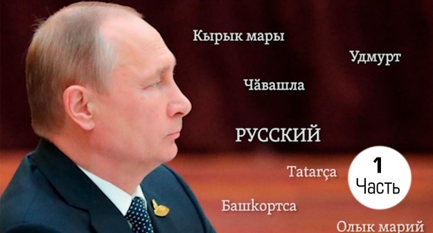 Middle size 1528553618