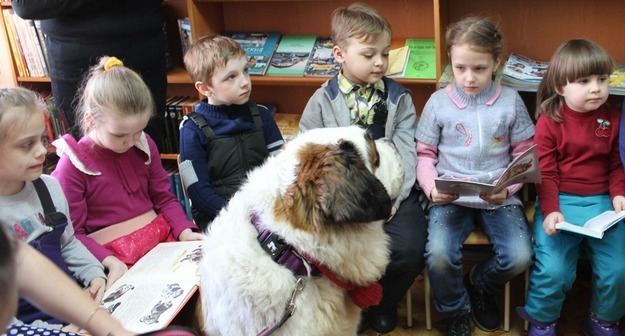 В пермской библиотеке собаки помогают детям учиться читать Middle size 1529493126