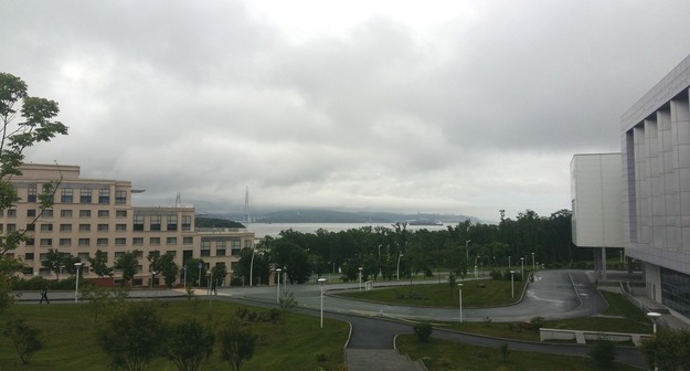 Middle size 1531300656