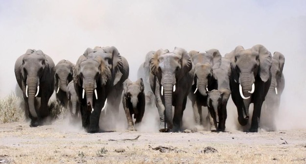 Макрорегионы: толчок для развития образования или фактор усиления неравенства? Макрорегионы: толчок для развития образования или фактор усиления неравенства?