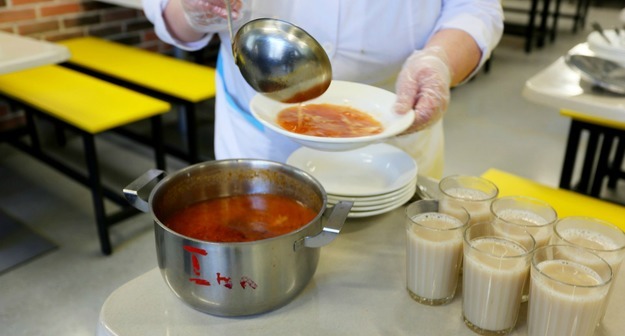 Следственный комитет нашёл нарушения в школе с «собачьей» едой Middle size 1550221270