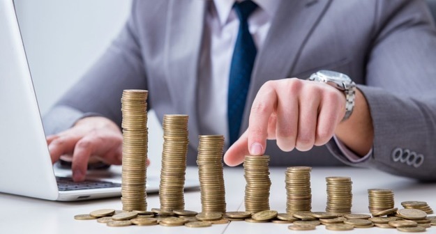 Курганские эсеры решили улучшить жизнь бюджетников Middle size 1553848122