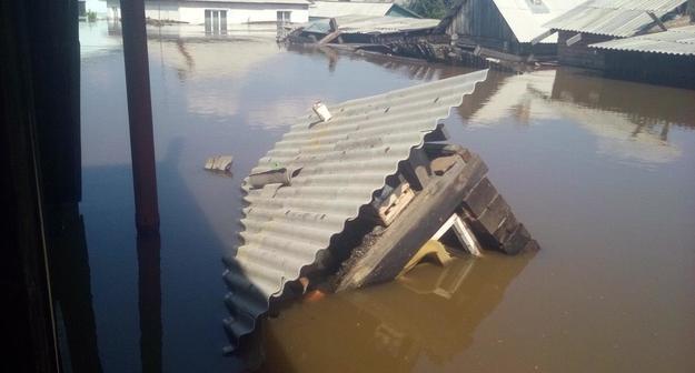 Middle size 1561968767