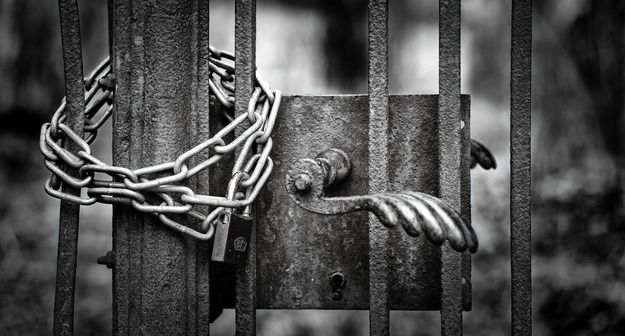 Хроника выживания авторской школы Щетинина Middle size 1570103803