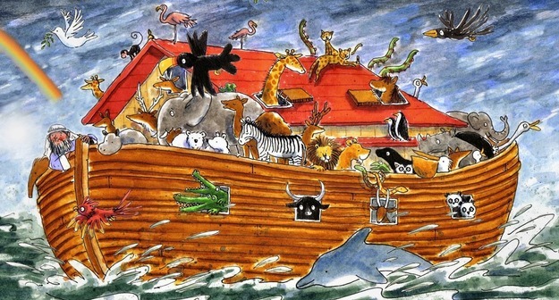 Middle size 1582096019