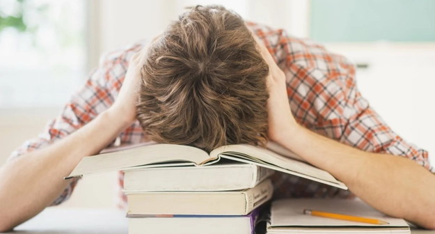 Middle size 1585831725