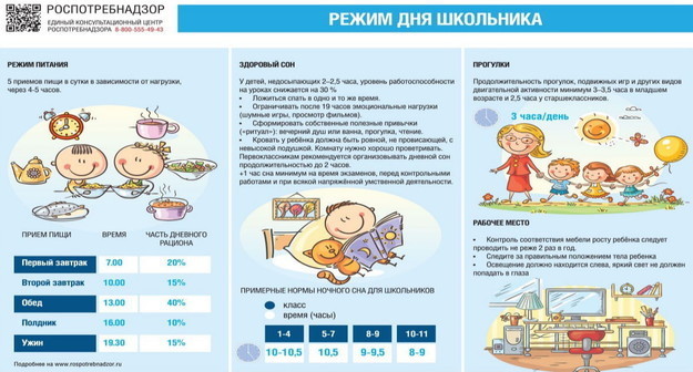 Верится с трудом: Роспотребнадзор выпустил рекомендации по организации дня школьника Верится с трудом: Роспотребнадзор выпустил рекомендации по организации дня школьника
