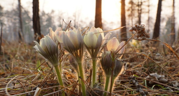 Директор «Класс-Центра» Сергей Казарновский поздравил учеников с наступлением весны и пригласил на субботник Директор «Класс-Центра» Сергей Казарновский поздравил учеников с наступлением весны и пригласил на субботник