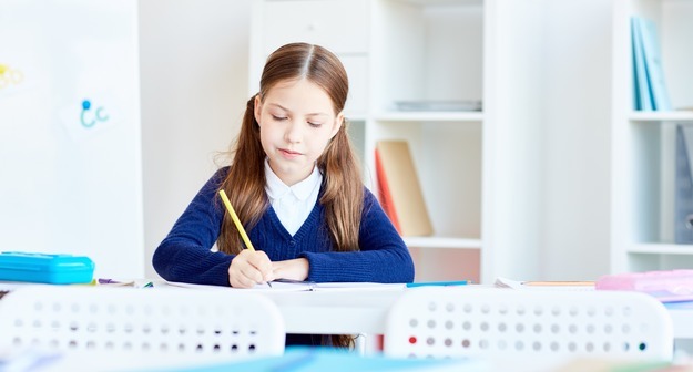 Вице-спикер Госдумы потребовал отменить всероссийские проверочные в школах