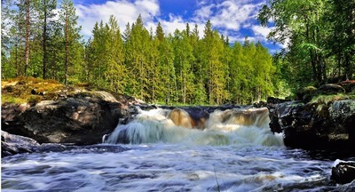 Педагоги в регионах обсуждают возврат природоведения в школьную программу