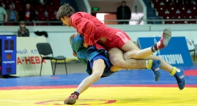 Уроки самбо появятся в российских школах